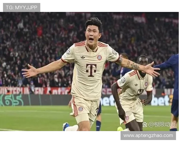 法国足球现役球星盘点及其未来发展潜力分析